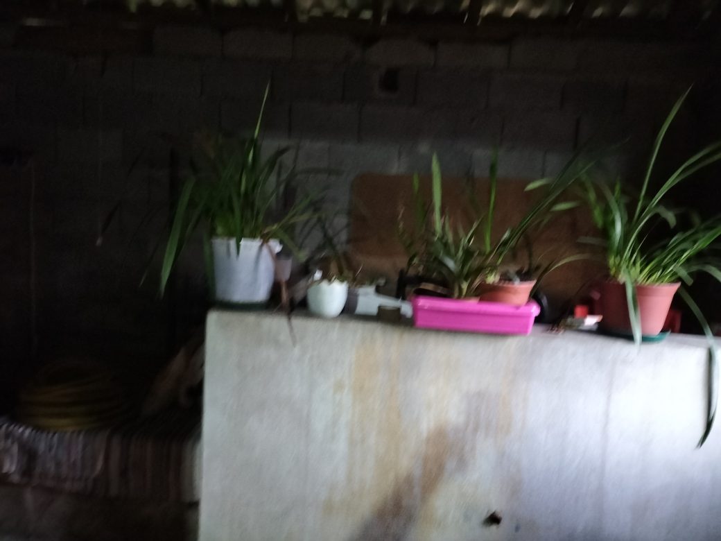 IMG20221015174406