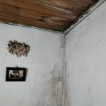 IMG20221015174653