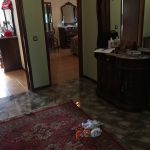 IMG-8980
