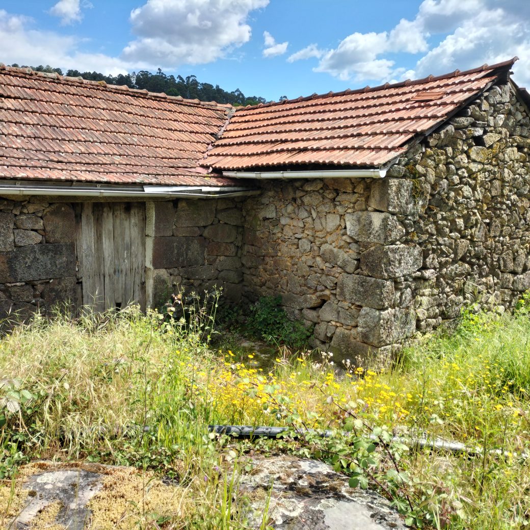 IMG20250515155608