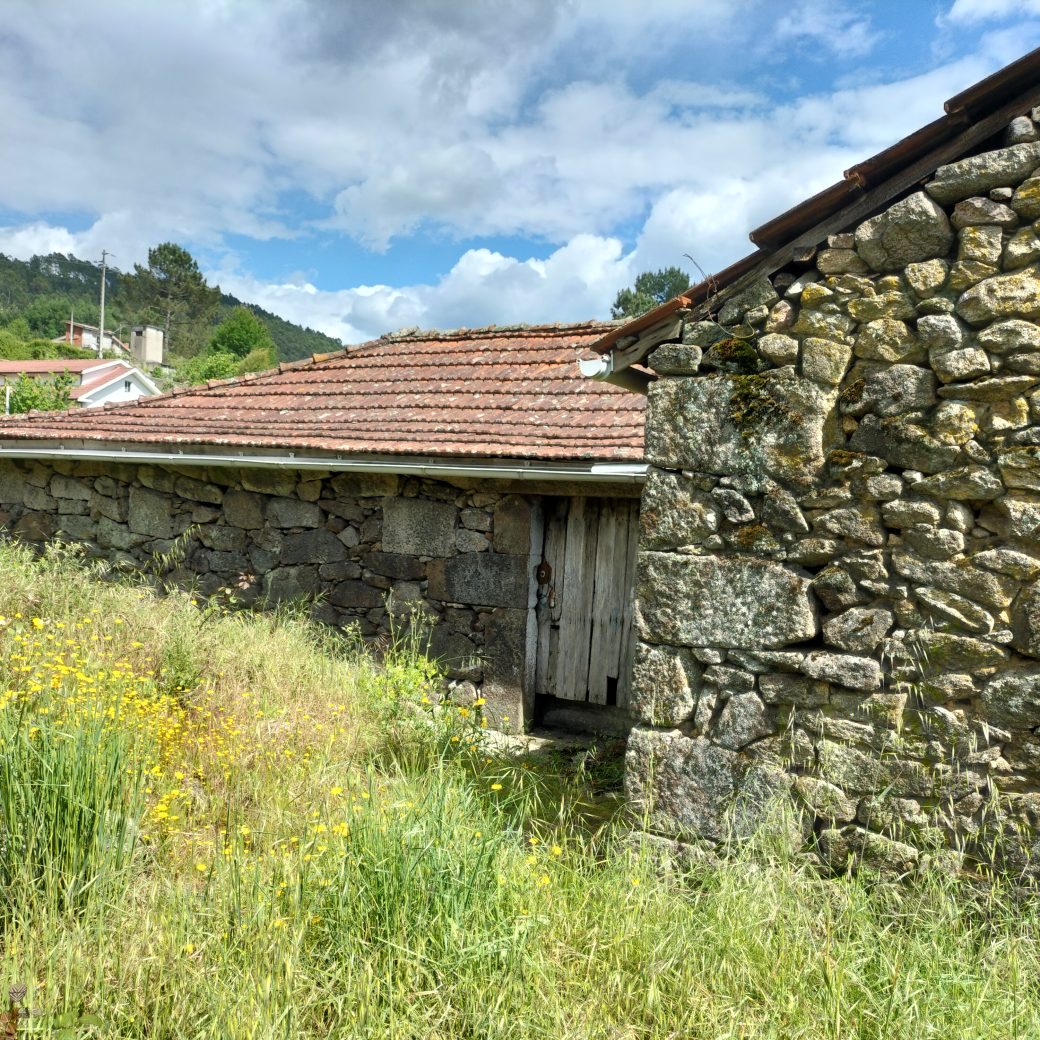 IMG20250515155621