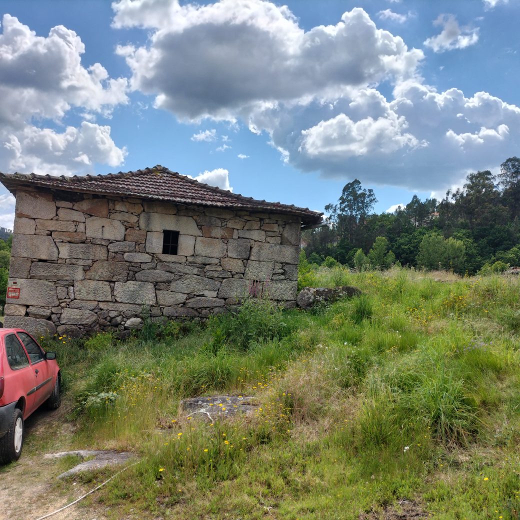IMG20250515155817