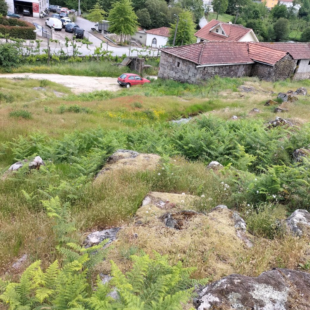 IMG20250515160408