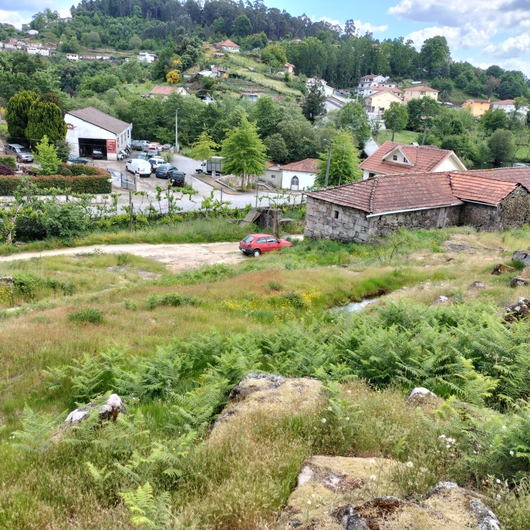 IMG20250515160414