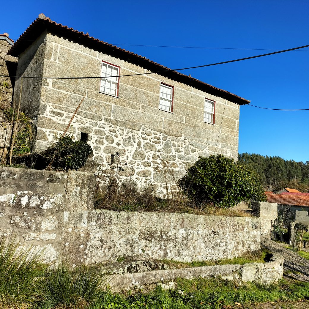 IMG20241215104302
