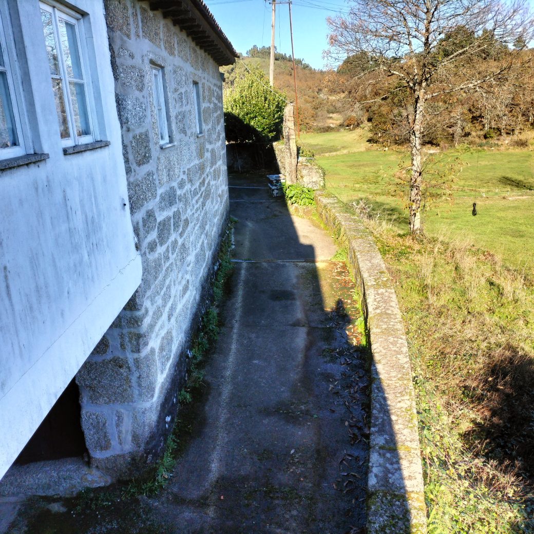 IMG20241215104415