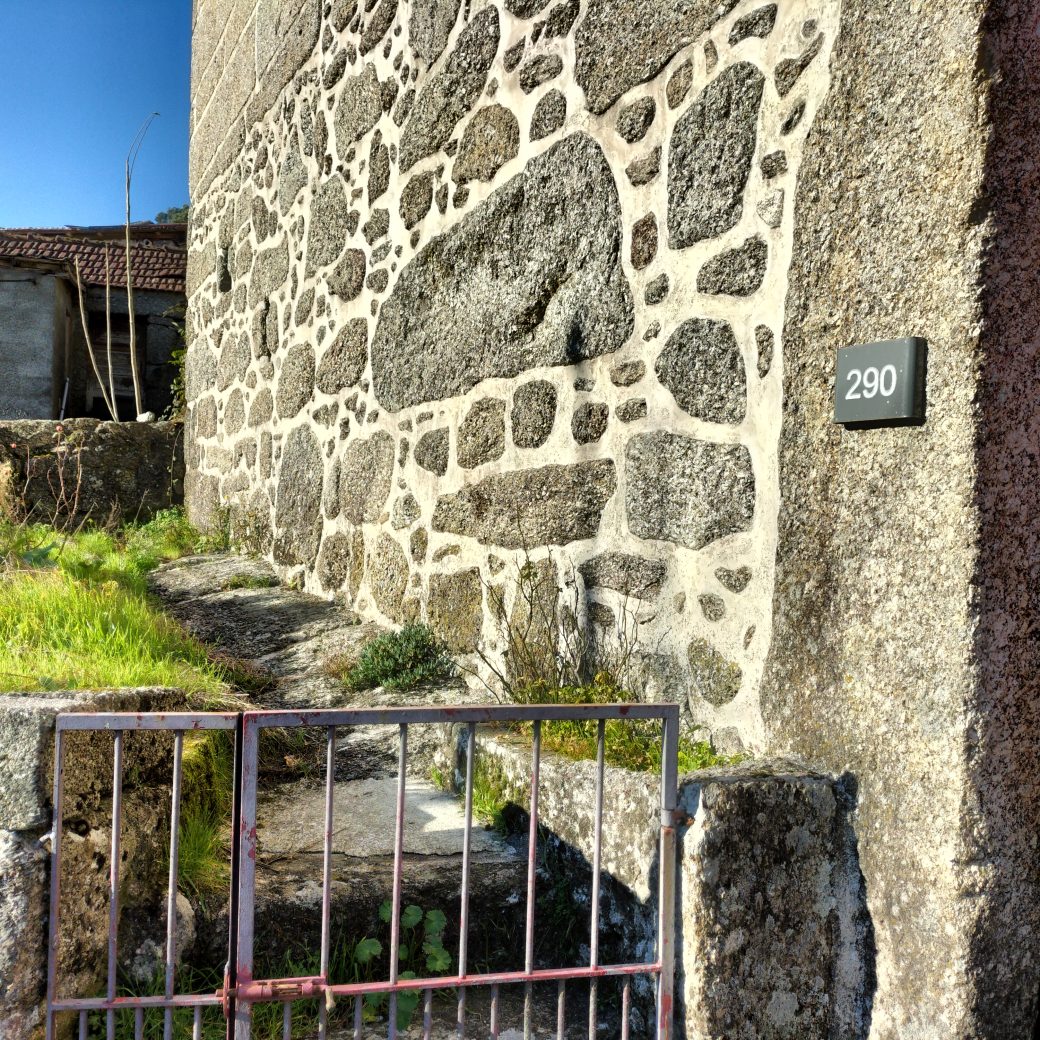 IMG20241215104503