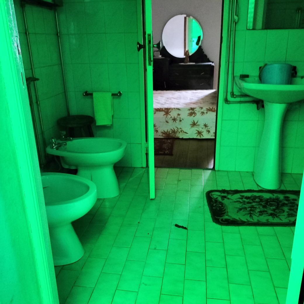 IMG20241215104953