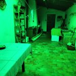 IMG20241215105000