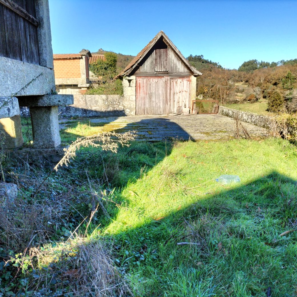 IMG20241215105151