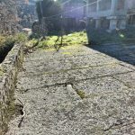 IMG20241215105236