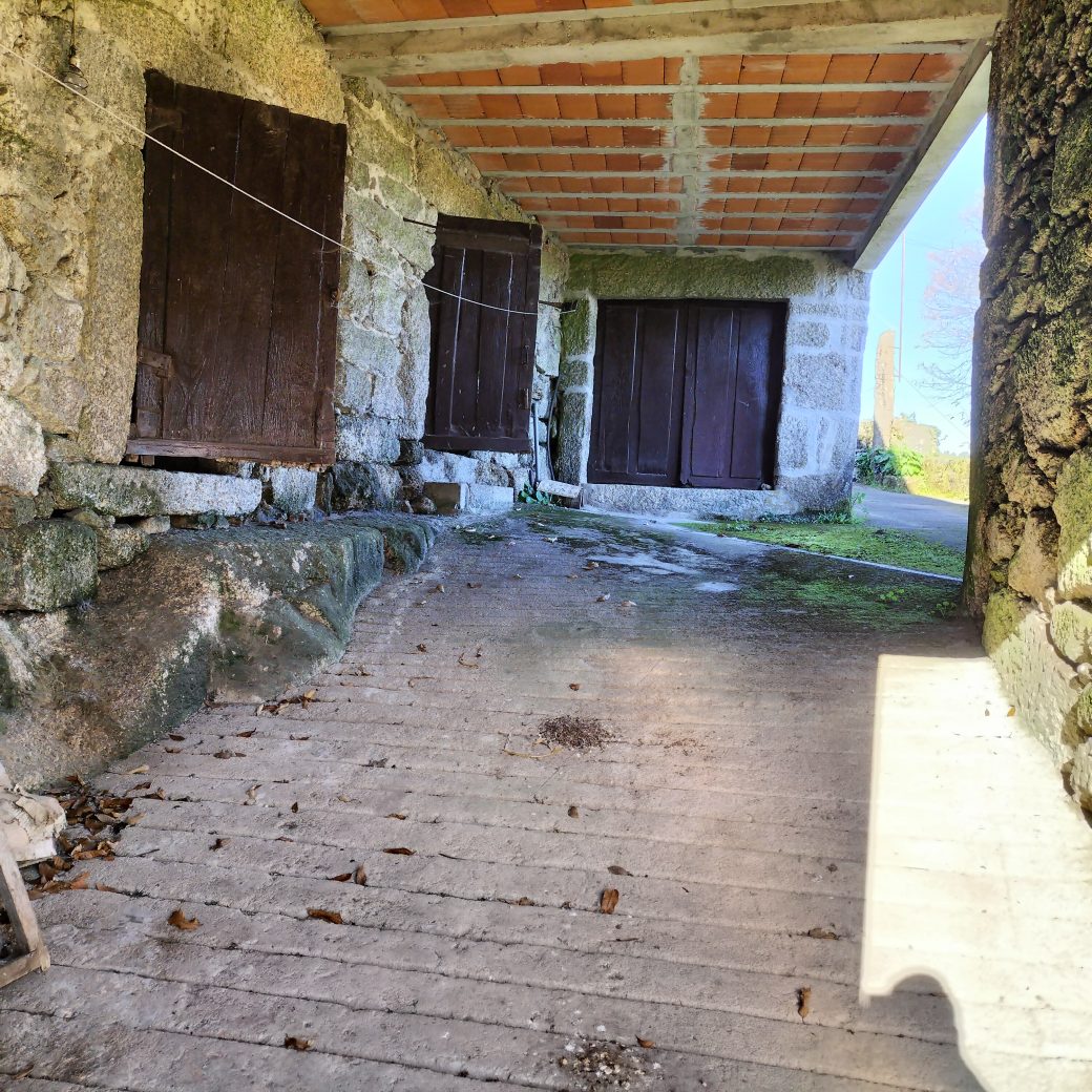 IMG20241215105652