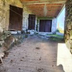 IMG20241215105652
