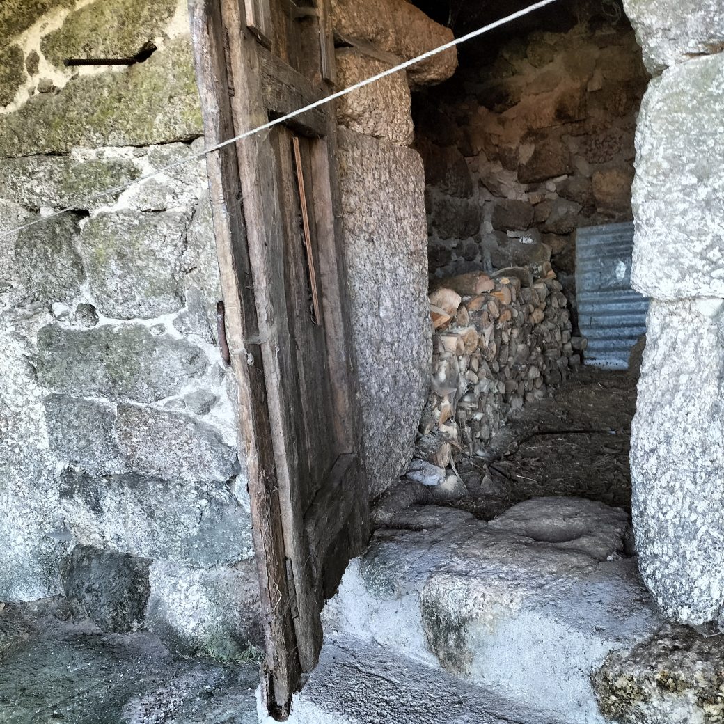 IMG20241215105757
