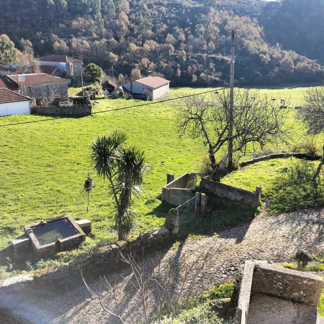 IMG20241215110136