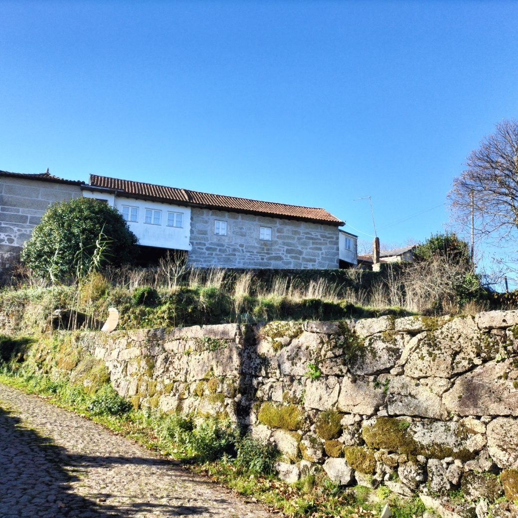 IMG20241215110351