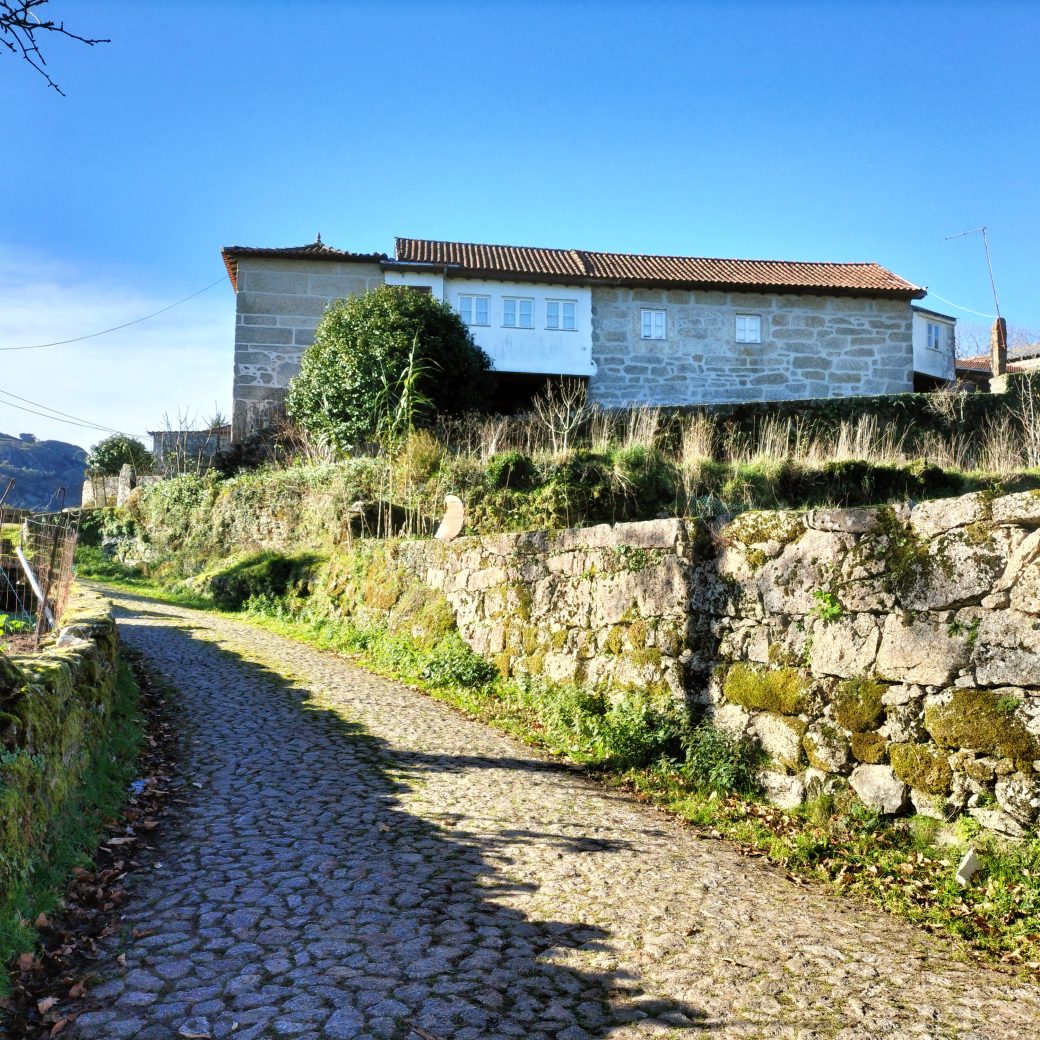 IMG20241215110411