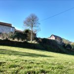 IMG20241215110458