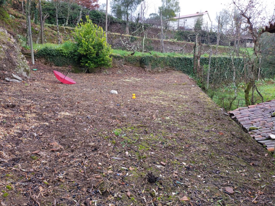 IMG20220216172009