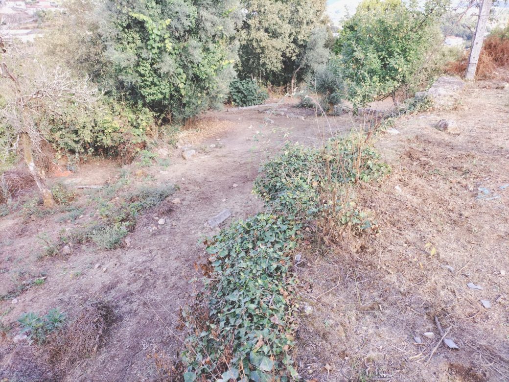 IMG-20250910-WA0029