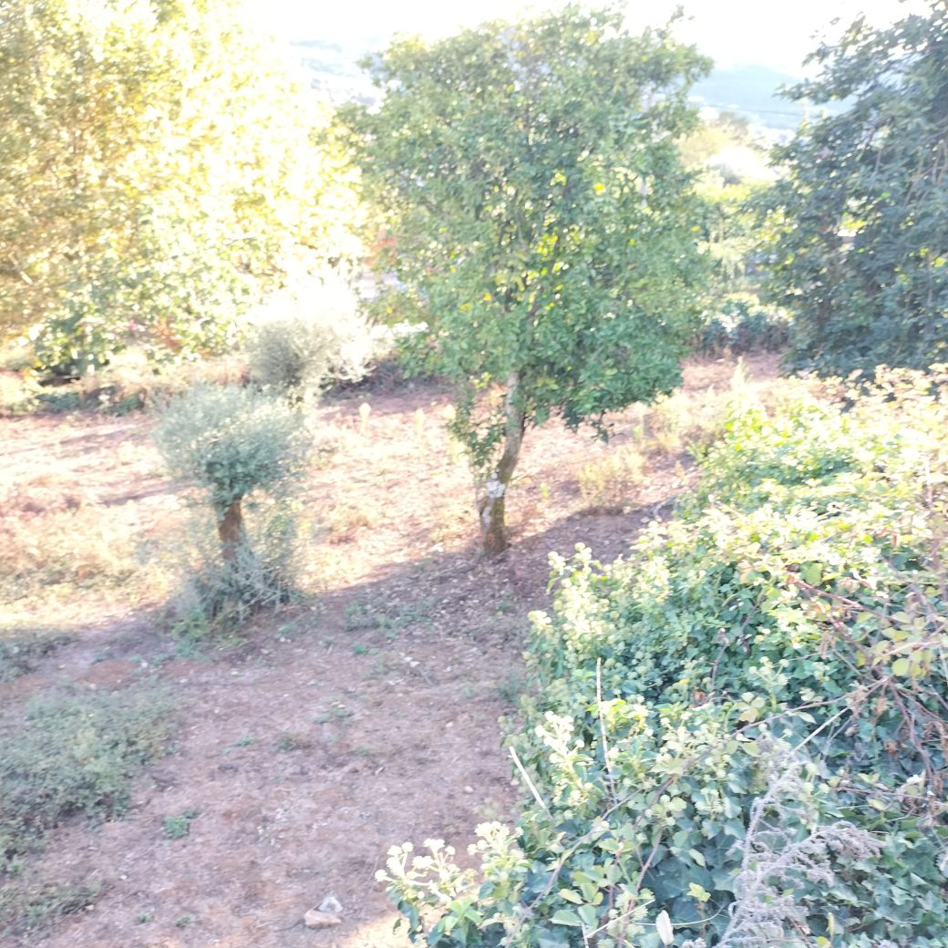 IMG-20250910-WA0035