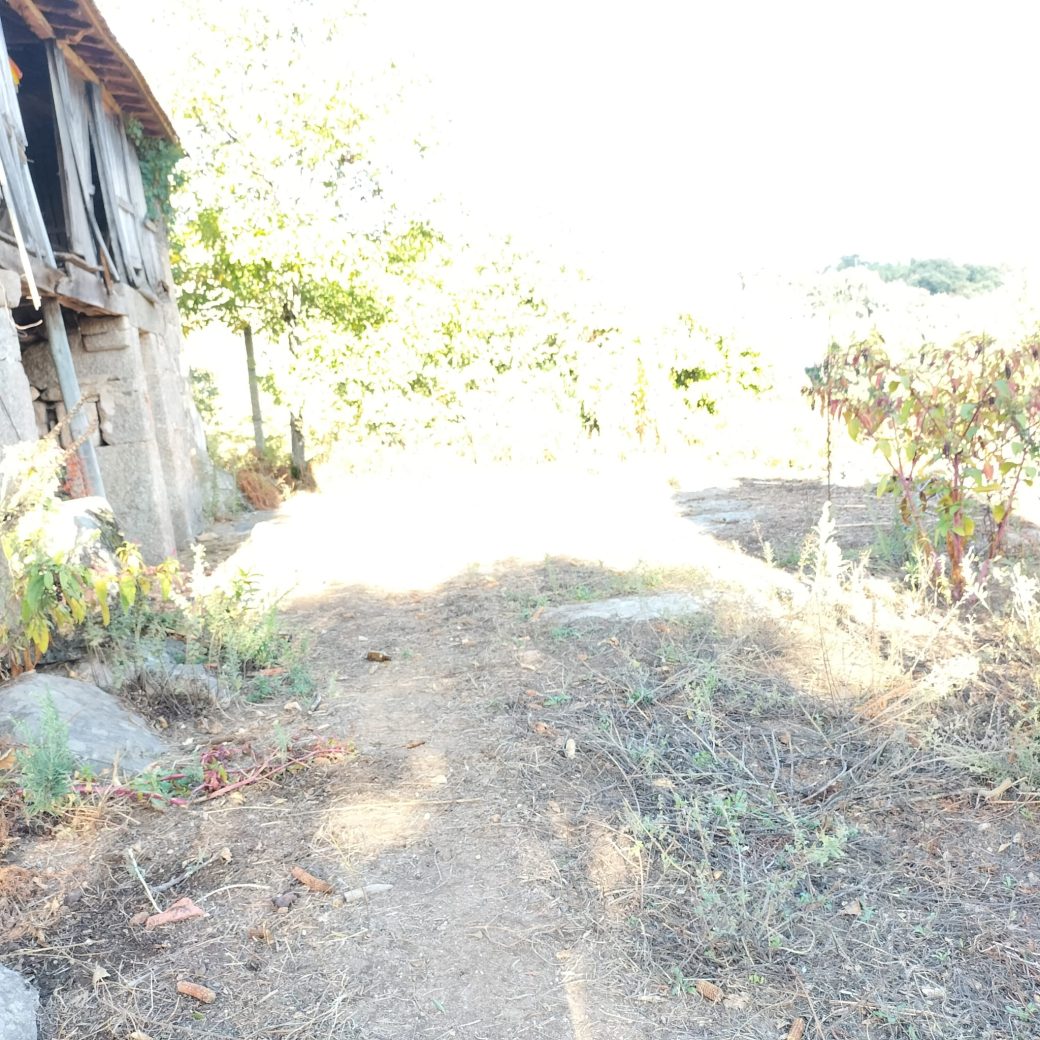 IMG-20250910-WA0037