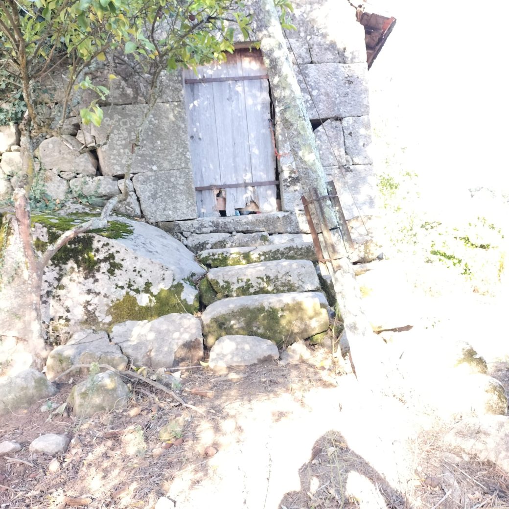 IMG-20250910-WA0038