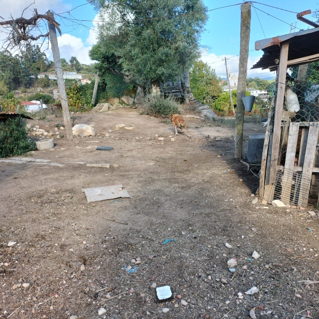 IMG-20250910-WA0039