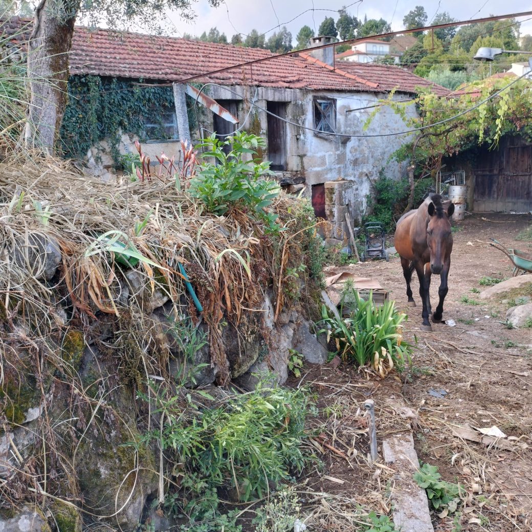 IMG-20250910-WA0044