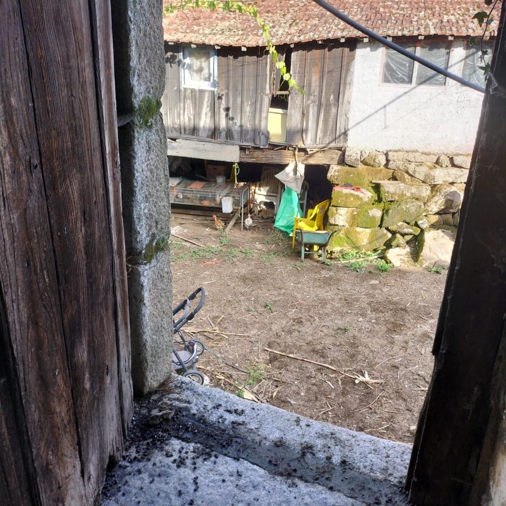 IMG-20250910-WA0048