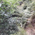 IMG20250805182340