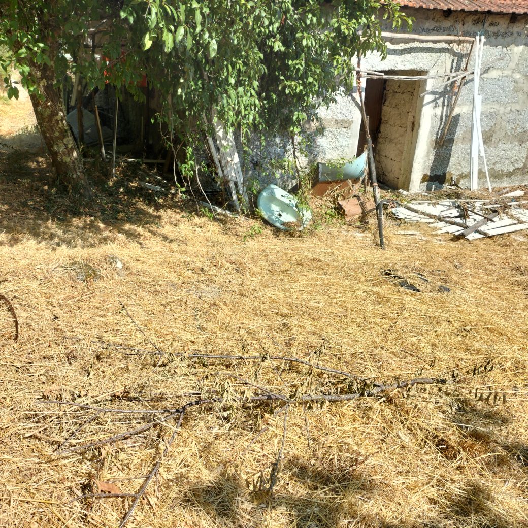 IMG20250818160712