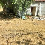 IMG20250818160712
