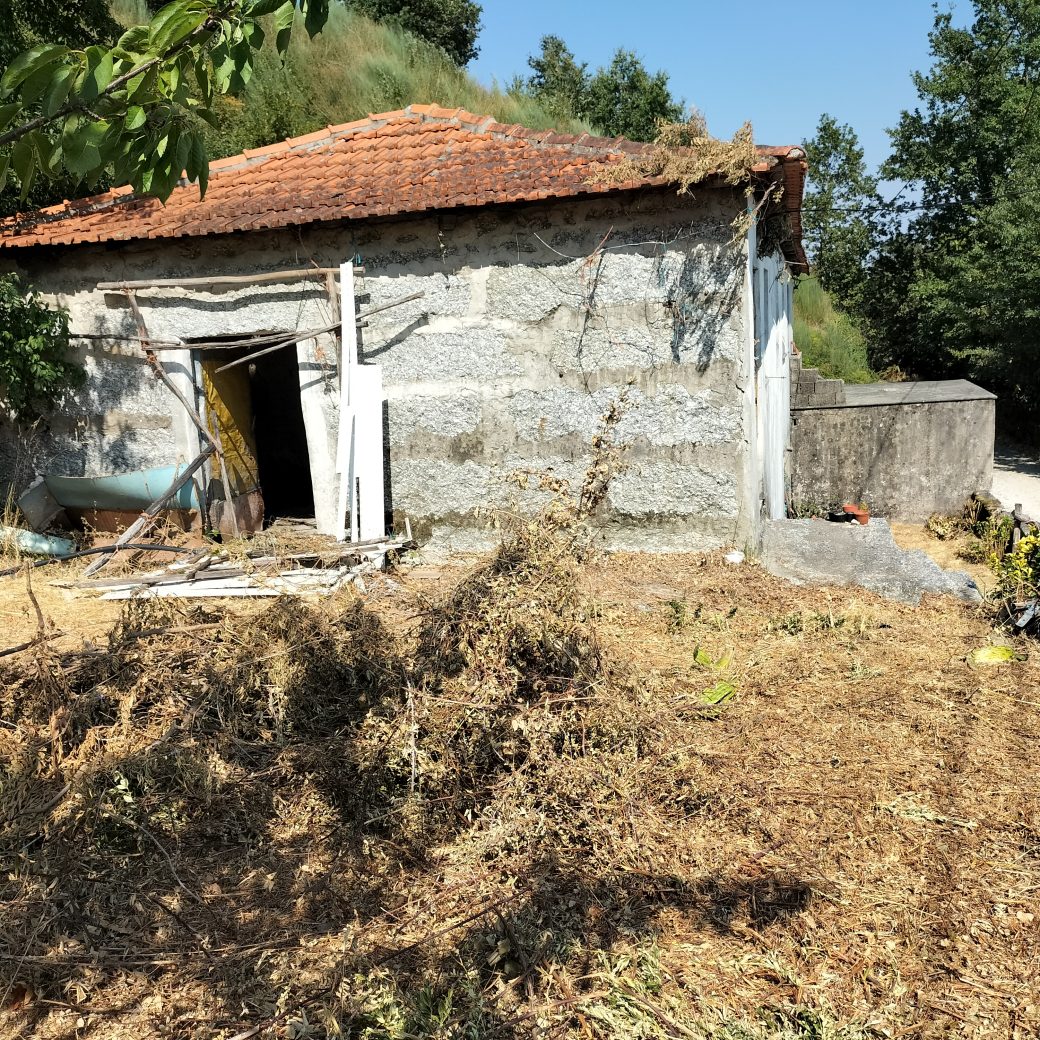 IMG20250818160956