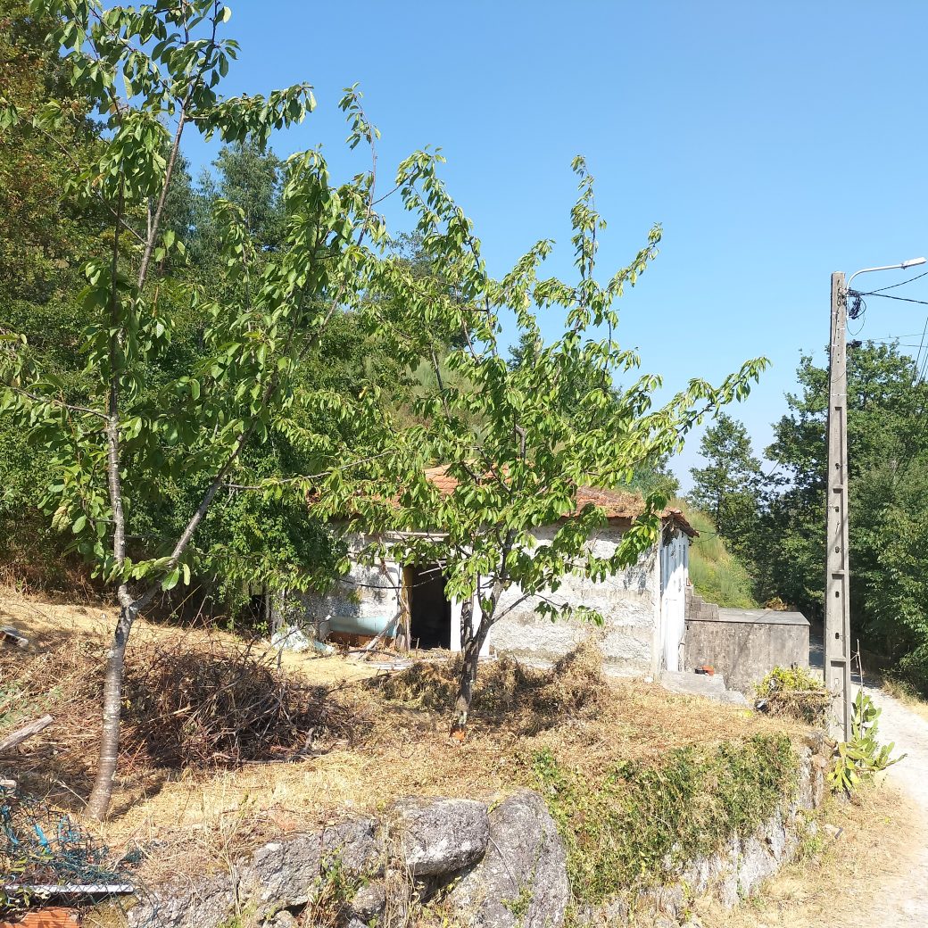 IMG20250818161133