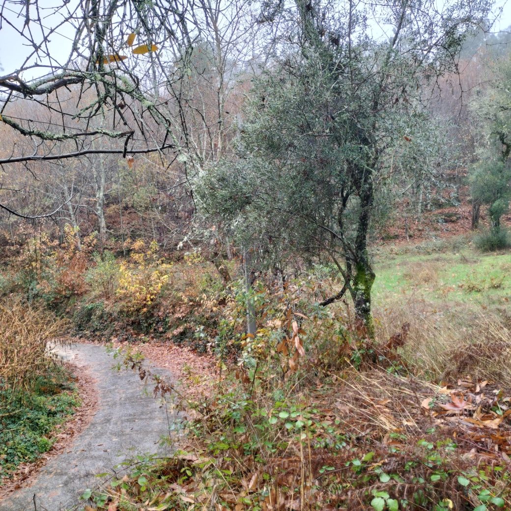 052584de-385b-4c59-ba4c-98849f9defcb