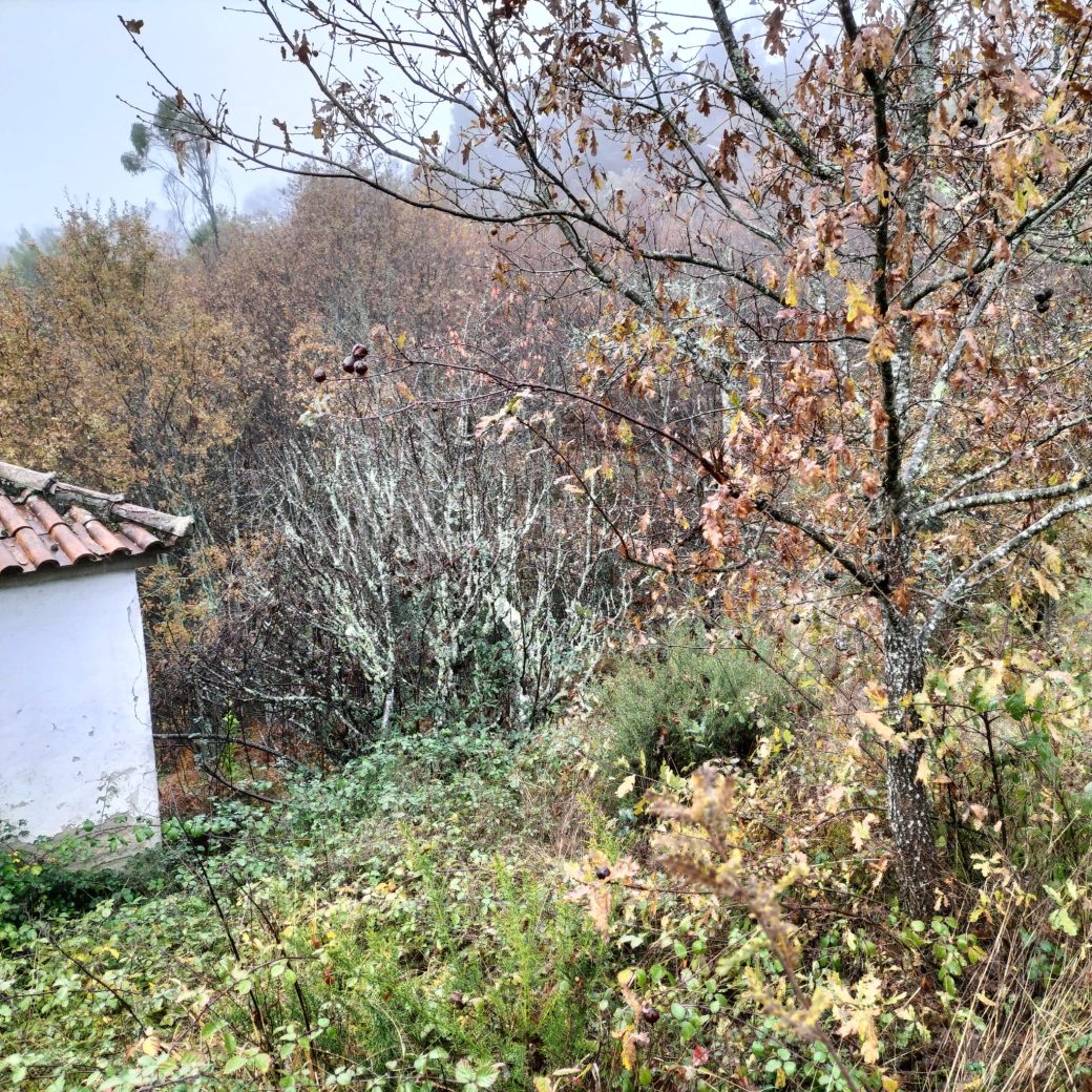 0c482b4c-25ca-4c7f-b72e-4a2379177859