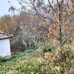 0c482b4c-25ca-4c7f-b72e-4a2379177859