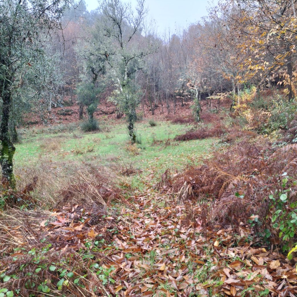 1735f8a9-72da-4cfc-815a-2c9c7a5c5190