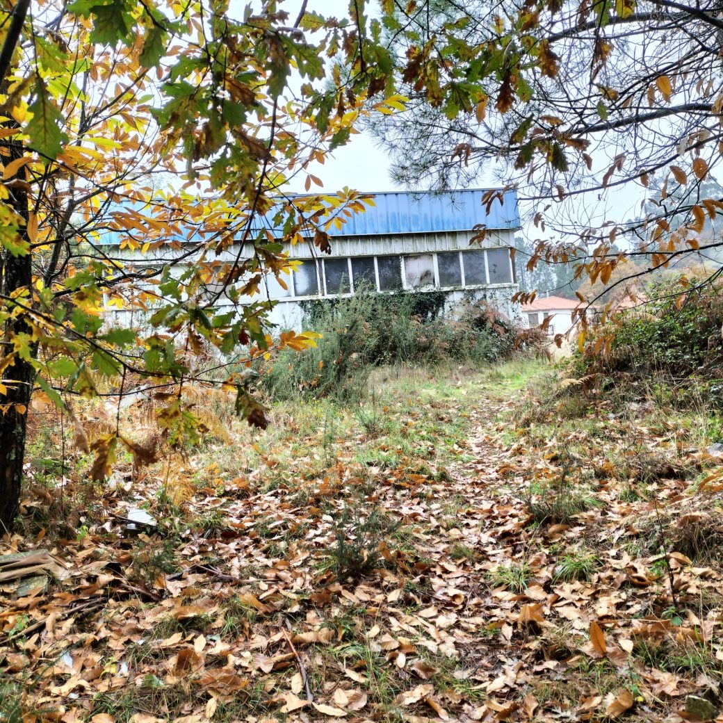 18e44761-47a6-4570-b71f-8cb00c79f03e