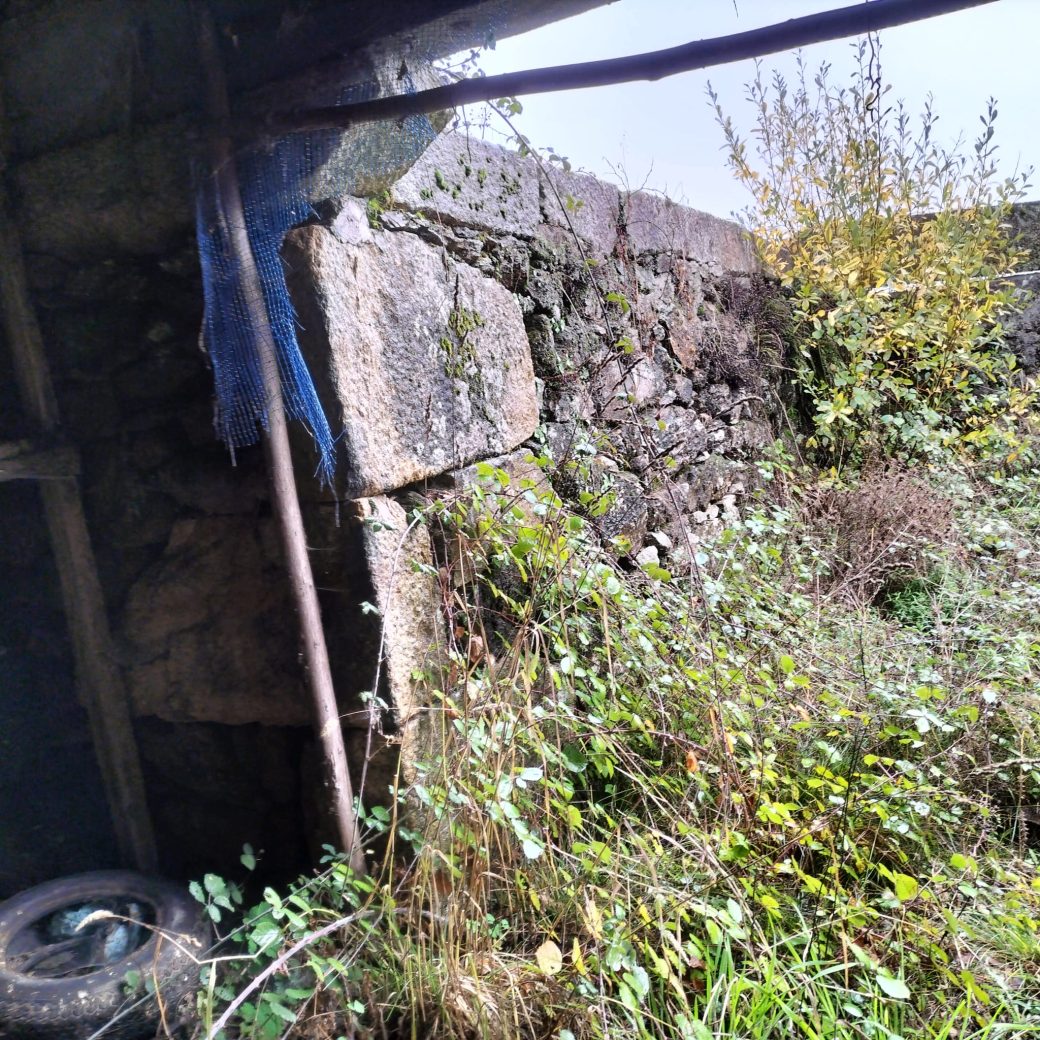 41e24b09-8cab-4733-b600-7f8a06bd0fc6