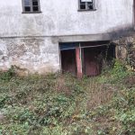 5445bce2-7490-4874-b3fa-d8dbddf31efa