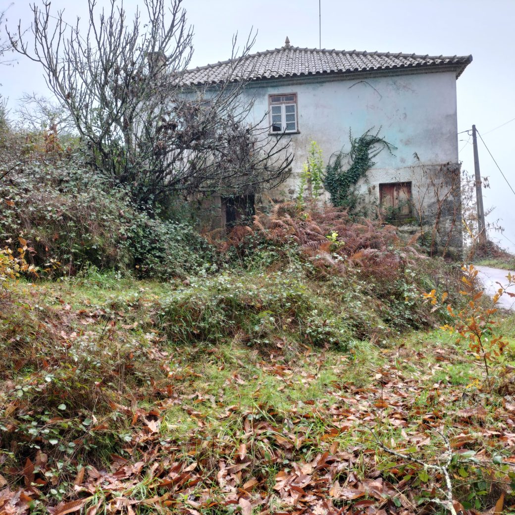 56694dfd-46da-4c2c-9d47-36eecb4424f5