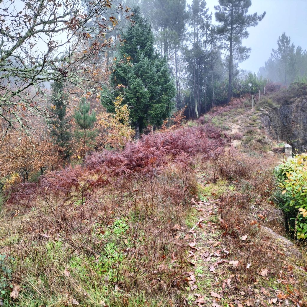 5f1cf5de-7347-4d9c-8411-2a8ae48e6c94