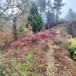 5f1cf5de-7347-4d9c-8411-2a8ae48e6c94