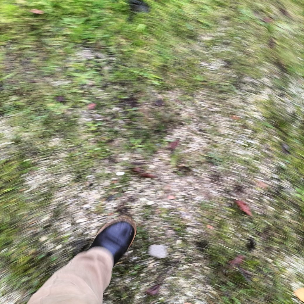 876ee43d-cfe4-44ef-bf59-2a9a590ec333