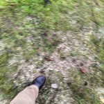 876ee43d-cfe4-44ef-bf59-2a9a590ec333