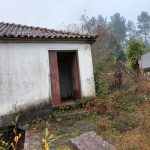 8fc6a275-3d1a-42c4-ad24-d1866304dc08