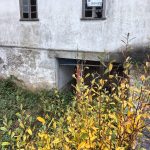 a6113f2a-88b8-4bb5-8943-892d9c0038da