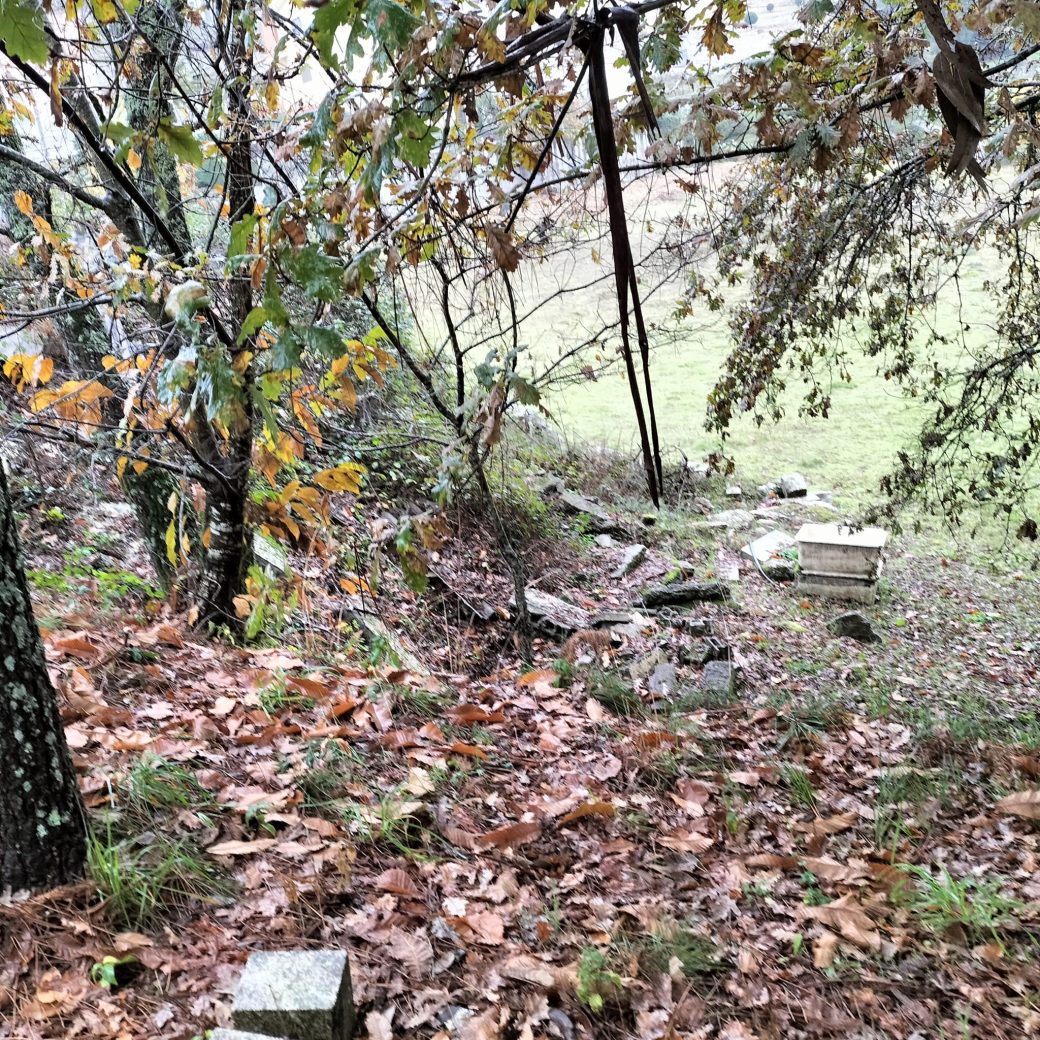 d7e3bbf6-64d7-4e85-b131-bcf922b8678b